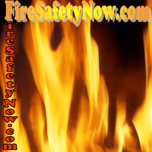 www.FireSafetyNow.com